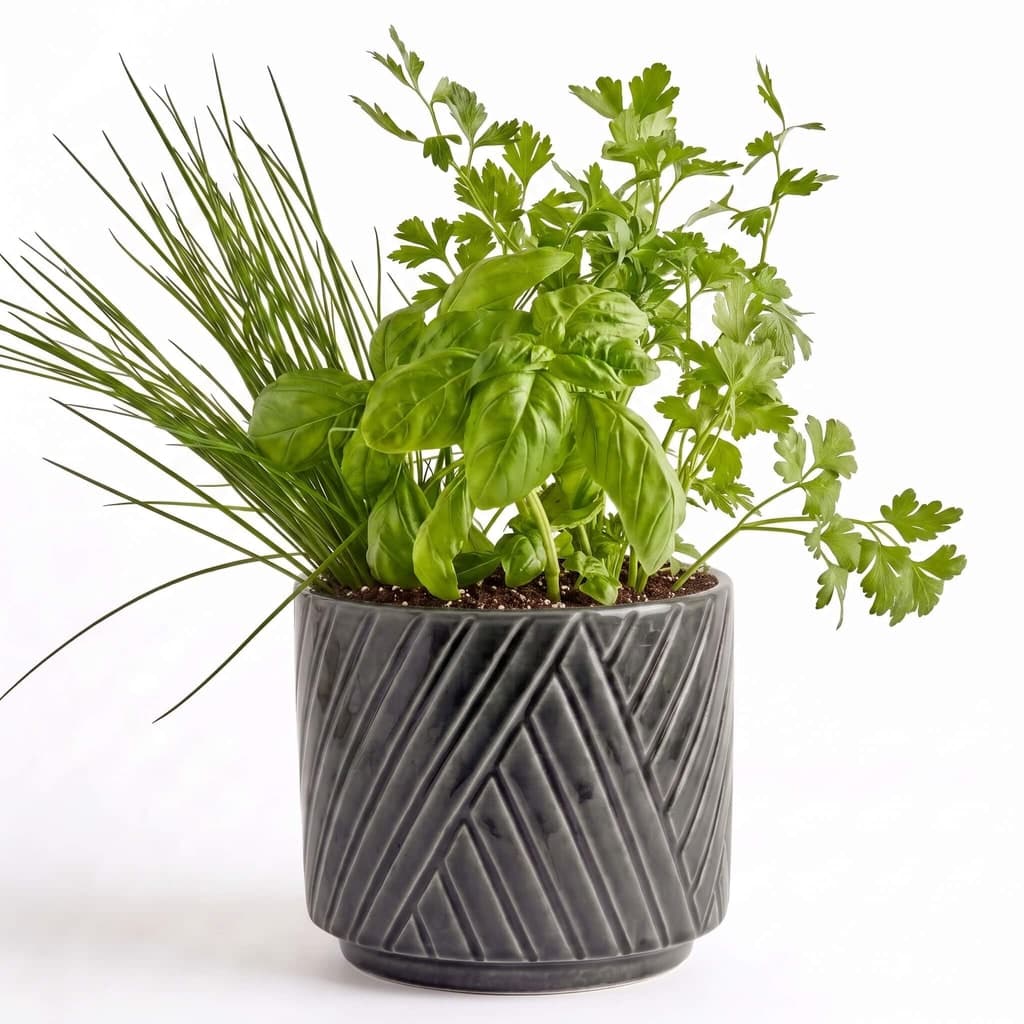 Kitchen Classics Herb Garden