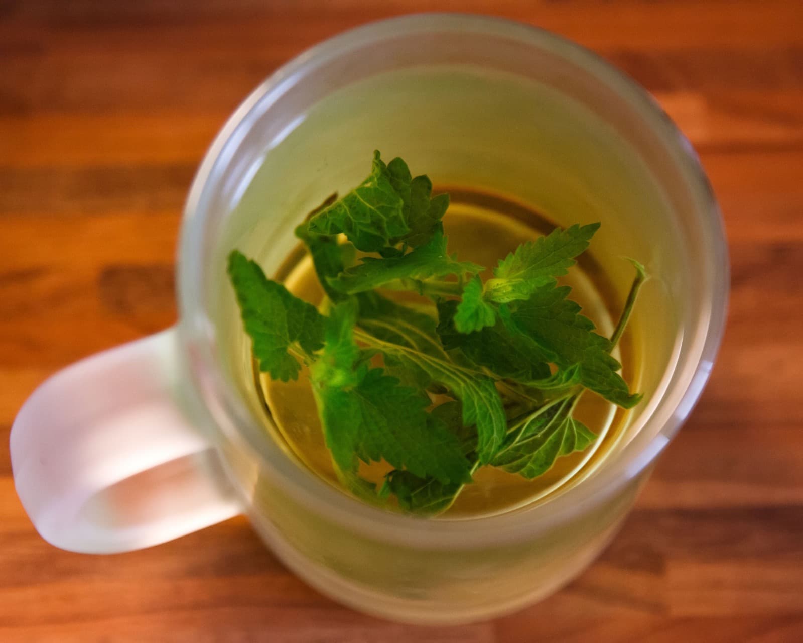 A fresh herbal tea made with Tea Maker’s herbs.